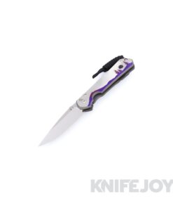 Chris Reeve Knives Small Sebenza 31 Drop Point Magnacut Blade Night Sky Unique Graphic w/ Amethyst Cabochon