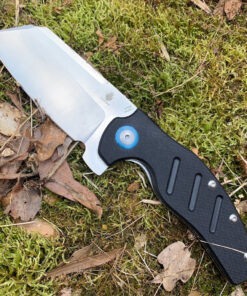 Kizer V5488C1 Kizer C01c(XL) Sheepdog Black G10 Knife