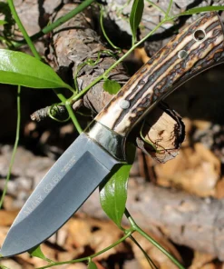 Muela Colibri Stag - 2.83" 4116 Stainless Steel Satin Drop Point Plain Blade Full-Tang Hunting Knife 02MU018