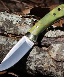 Muela Colibri - 2.87" X50CrMoV15 Stainless Satin Plain Edge Blade, Green Maple Wood Handle with Brass Bolster - 02MU199