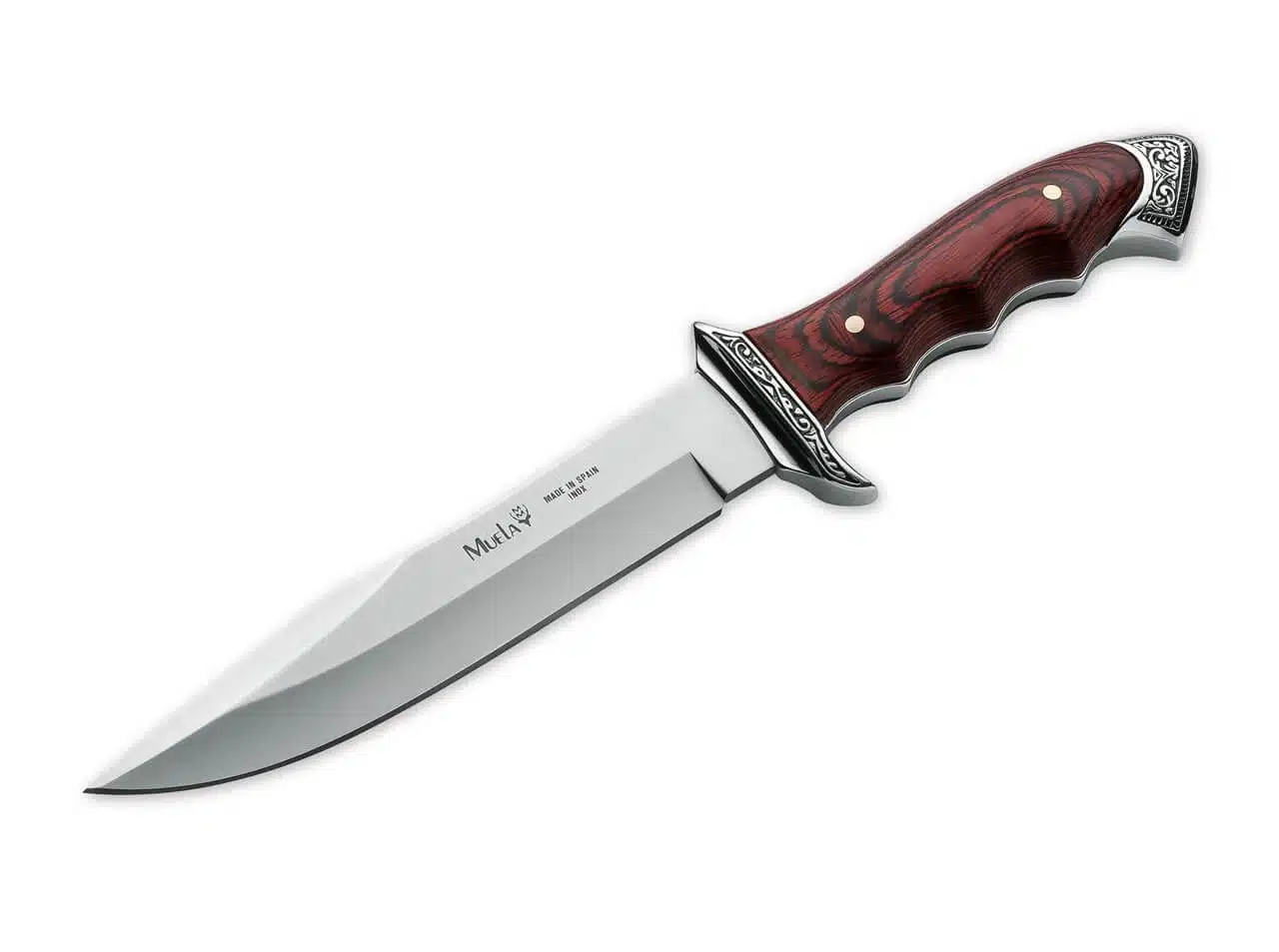 Muela Venecia Hunting Knife - 6.81" I-42 Stainless Steel Satin Clip Point Plain Blade Engraved Nickel Guard & Pakka Wood Handle 02MU002