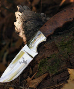 Browning Whitetail Legacy - 3.5" Drop Point Walnut 247