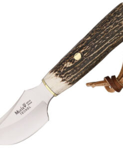 Muela Teckel Hunting Knife - 3" Stainless Steel Satin Trailing Point Plain Blade Stag Handle MUE90852