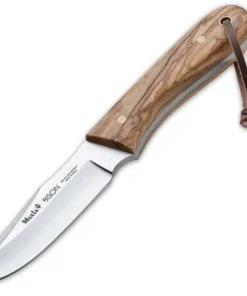 Muela Bison Olive - 3.50" 4116 Stainless Steel Satin Clip Point Plain Blade Full-Tang Olive Wood Handle 02MU008