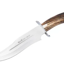Muela Magnum Bowie 26 - 10.24" MoVa Stainless Satin Plain Edge Blade, Stag Horn Handle with Brass Guard - 02MU036