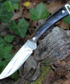 Hen & Rooster Fixed Blade, 3.25" Mirror Finish 440 SS Blade,Ox Horn Handle